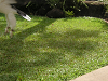 s_A_PICT0037_thumb.png